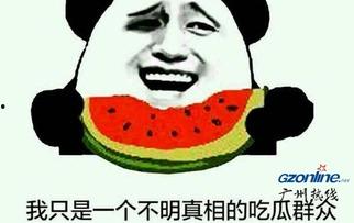 娱乐吃瓜酱专属梗是什么,网络热词背后的趣味与智慧